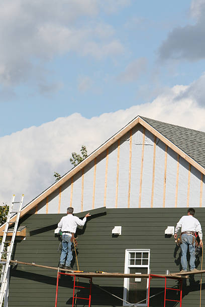 Best Brick Veneer Siding  in Martins Ferry, OH